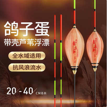 黑坑野钓鸽子蛋行程漂抗流水