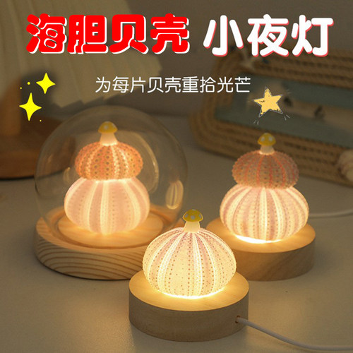 海胆贝壳小夜灯diy材料包