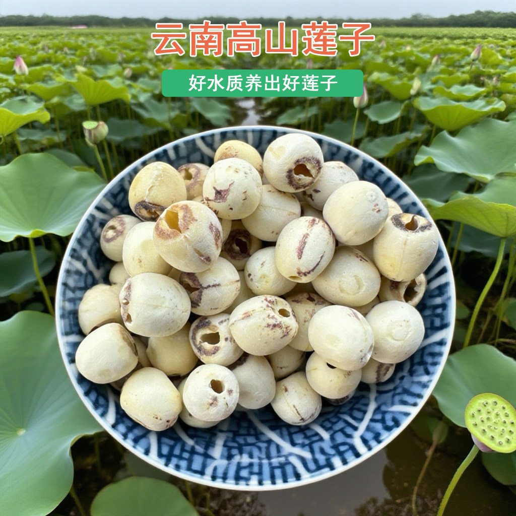 白莲子带心大颗粒山区有芯干货农家云南特产粉糯白皮莲子500g,粮油调味/速食/干货/烘焙,莲子,淘宝优惠券,粉丝福利购,淘宝优惠卷
