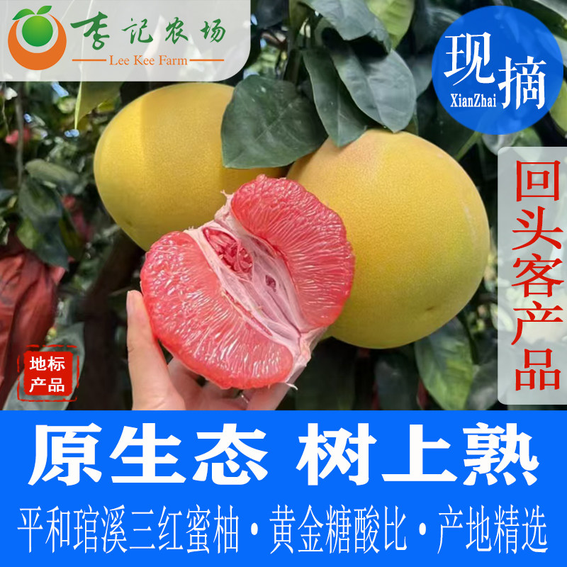 福建平和琯溪三红蜜柚【李记农场】精品礼盒装红心柚子新鲜水果