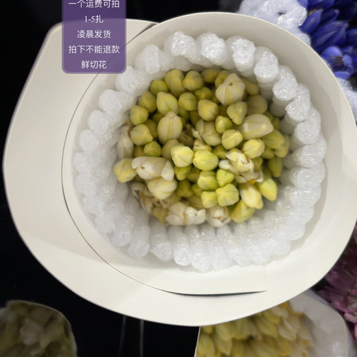 白色百子莲 5只 不包邮