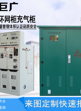 SF6充气柜 固体绝缘柜 GTXG15环网柜 10KV开闭所 电缆分支箱