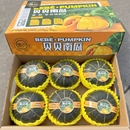 包邮 现货贝贝小南瓜板栗味5 6只礼盒辅食香甜糯贝贝南瓜新鲜蔬菜