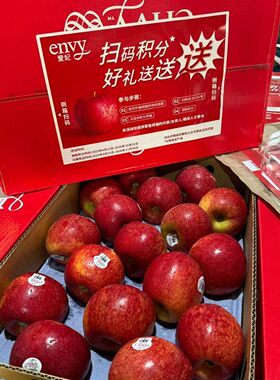 新货正宗新西兰进口envy爱妃苹果脆甜多汁大果新鲜水果好吃的包邮