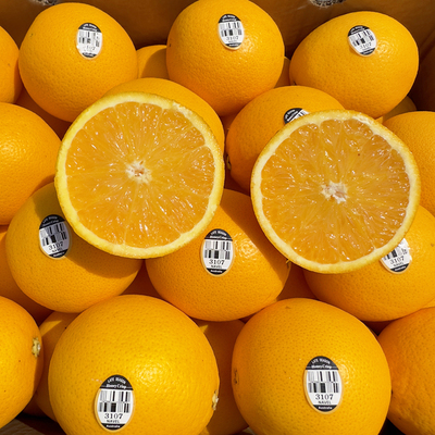 美国进口黑标3107脐橙子奇士橙