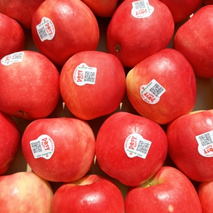 包邮 现货新西兰进口小花苹果POSY脆甜多汁新鲜孕妇水果当季 小苹果