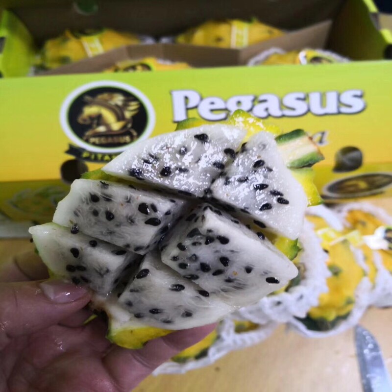 麒麟果燕窝果大果超甜多汁黄皮白