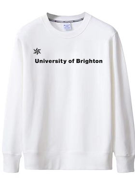 新款英国布莱顿大学University of Brighton纪念衫衣服薄款卫衣