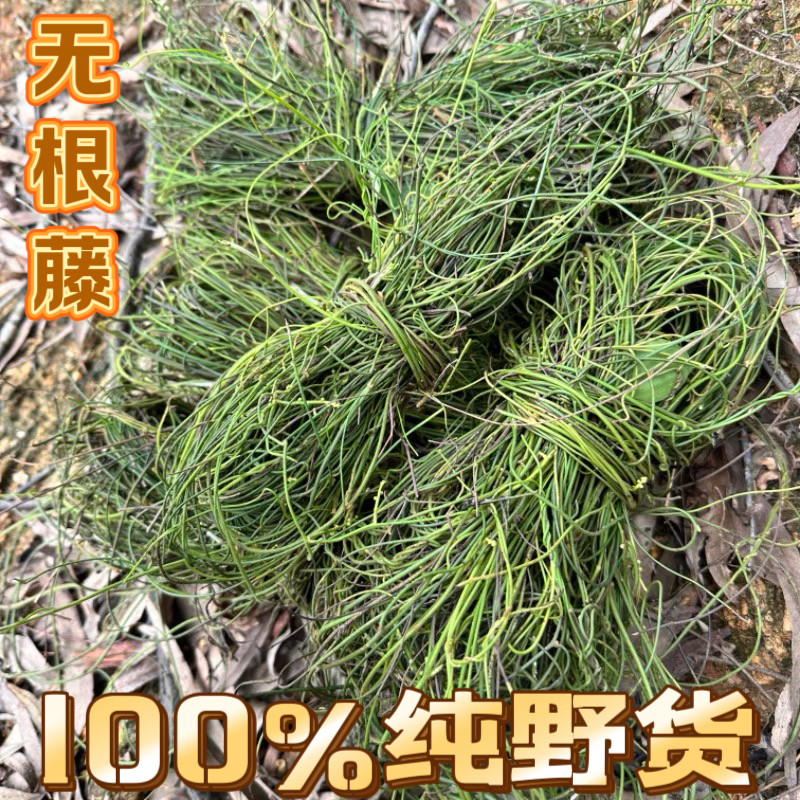 100%野生无根藤新鲜无头藤金丝藤菟丝子草无娘藤罗网藤500克包邮