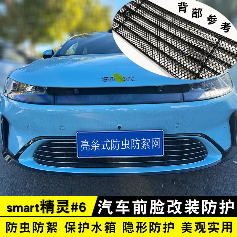 新款smart精灵#6中网防虫网 前脸专用改装饰条配件汽车用品防护件