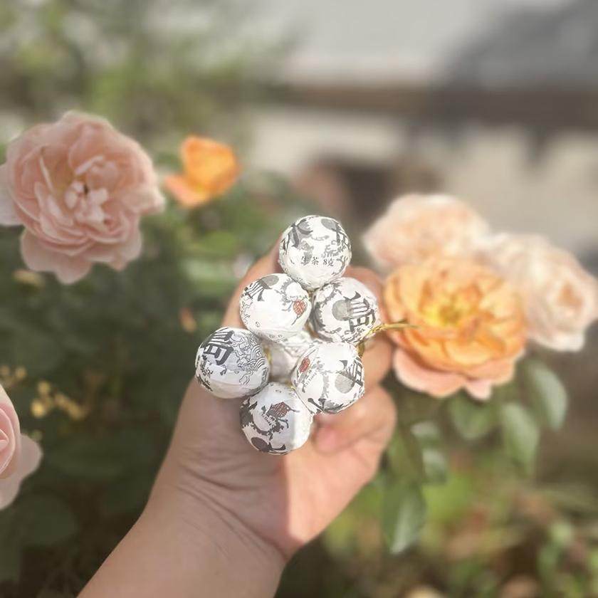 2023年冰岛小户赛古树龙珠 冰糖甜 花香足 五颗起拍