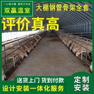定制大棚钢管骨架免设计货到付款