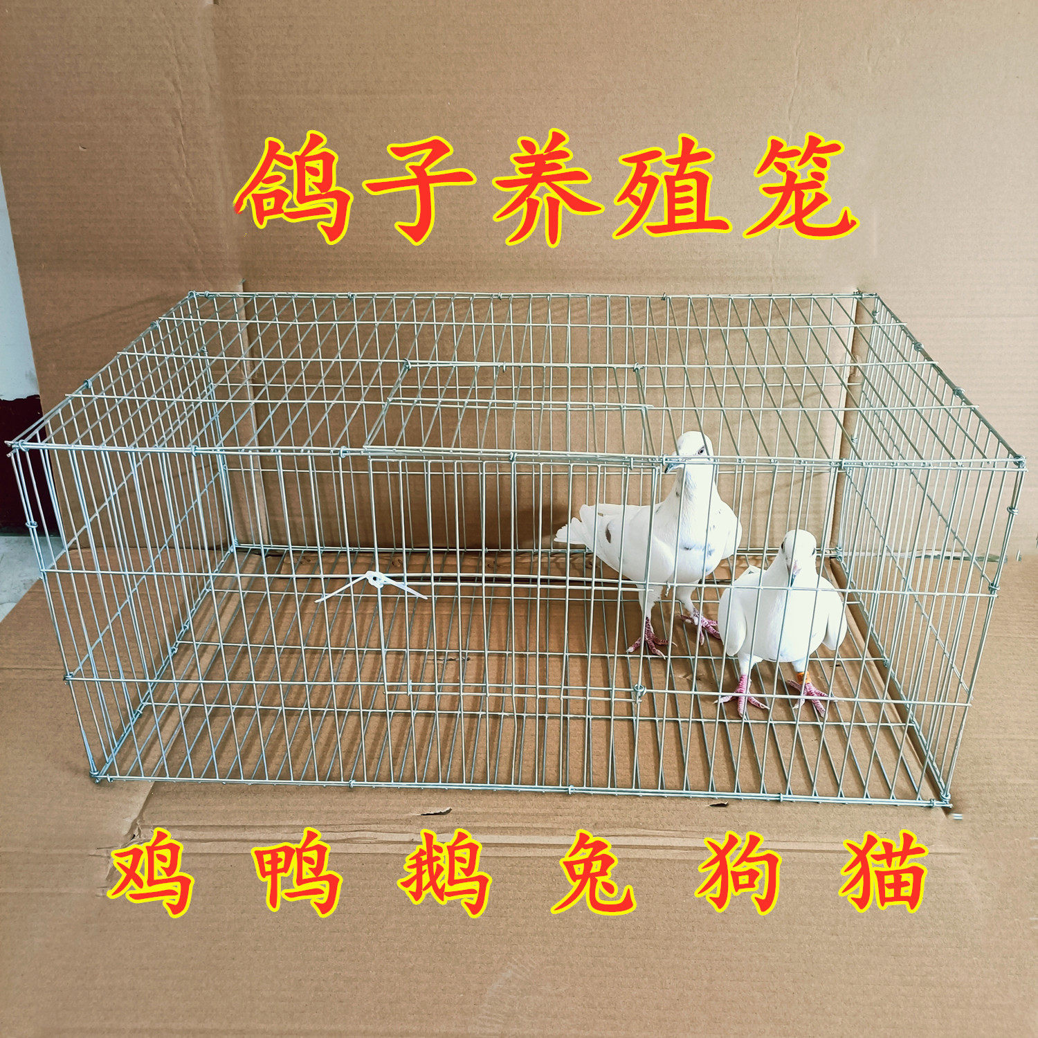 鸽子加密养殖笼狗笼兔笼家禽笼宠物养殖笼鸡笼组装运输铁丝笼钳子
