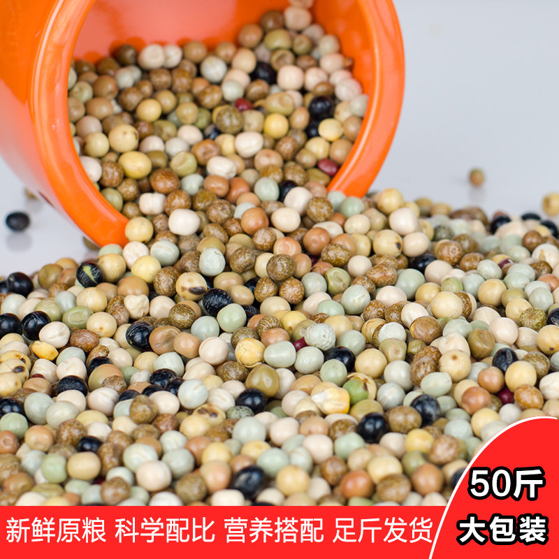 天津佳翔鸽粮鸽子粮食幼鸽粮赛飞鸽粮食营养粮育雏粮魔鬼粮全豆粮图片