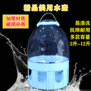博翔信鸽水壶鸽子透明自动饮水器水槽水桶鸟用喝水壶赛鸽用品用具