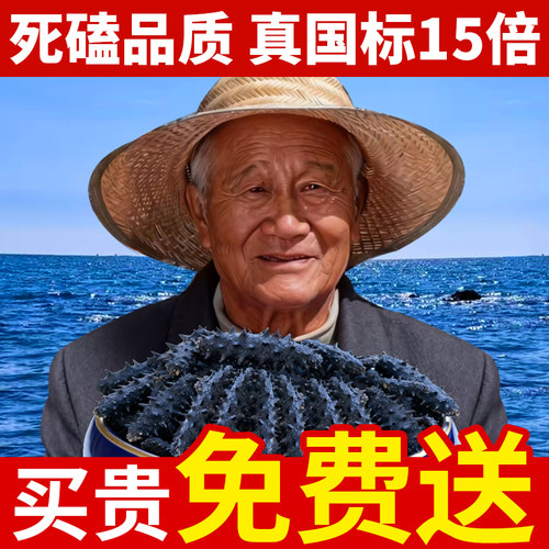 礁藏参王9年野生海参一斤也批发