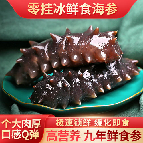 老獐即食海参鲜活辽刺参大连海参旗舰店野生海参即食500海参