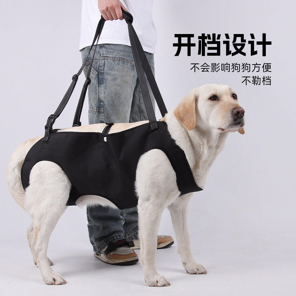 狗狗四肢辅助带胸背可调节牵引绳