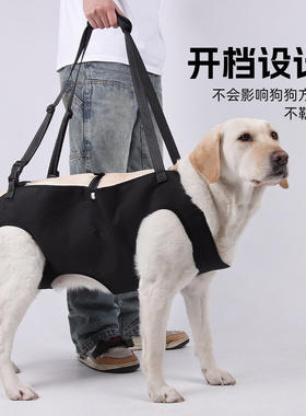 狗狗四肢辅助带胸背可调节牵引绳