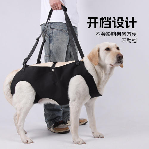 狗狗四肢辅助带胸背可调节牵引绳