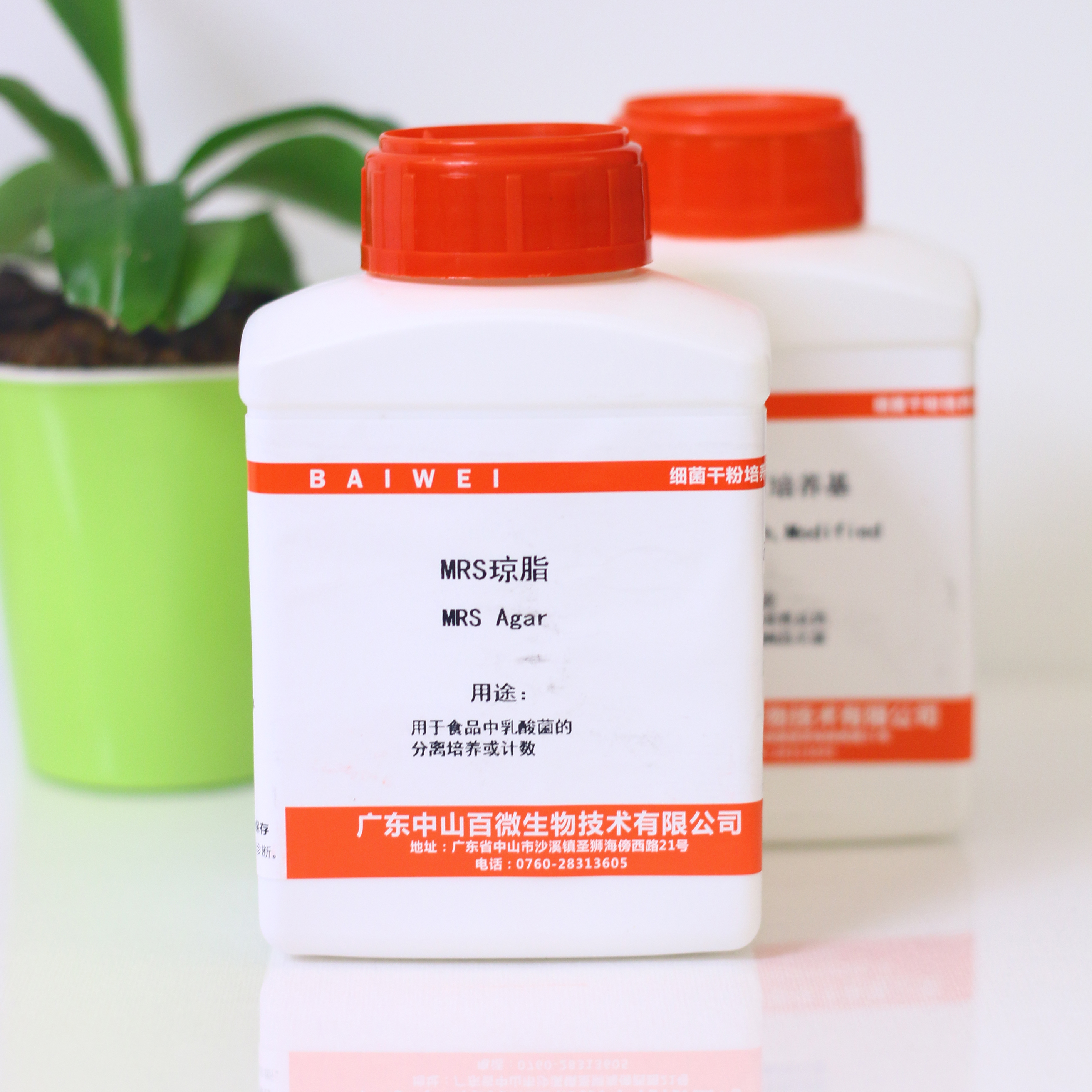 正品MRS琼脂实验干粉培养基100g250g用于乳酸菌培养计数包开发票
