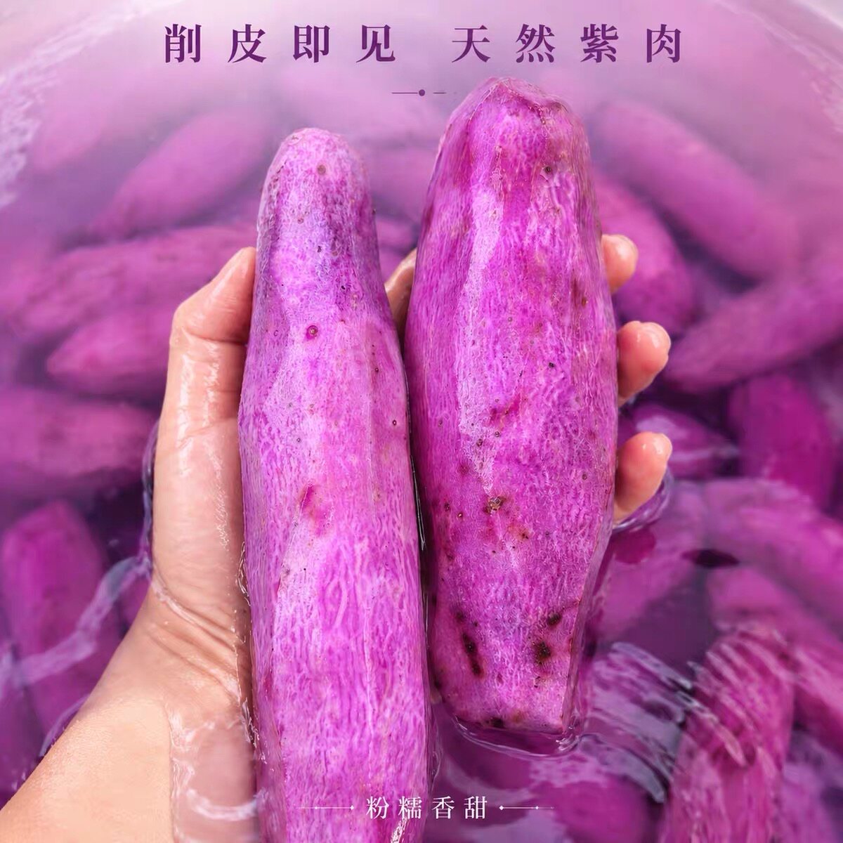 赣南紫山药新鲜现挖紫人参