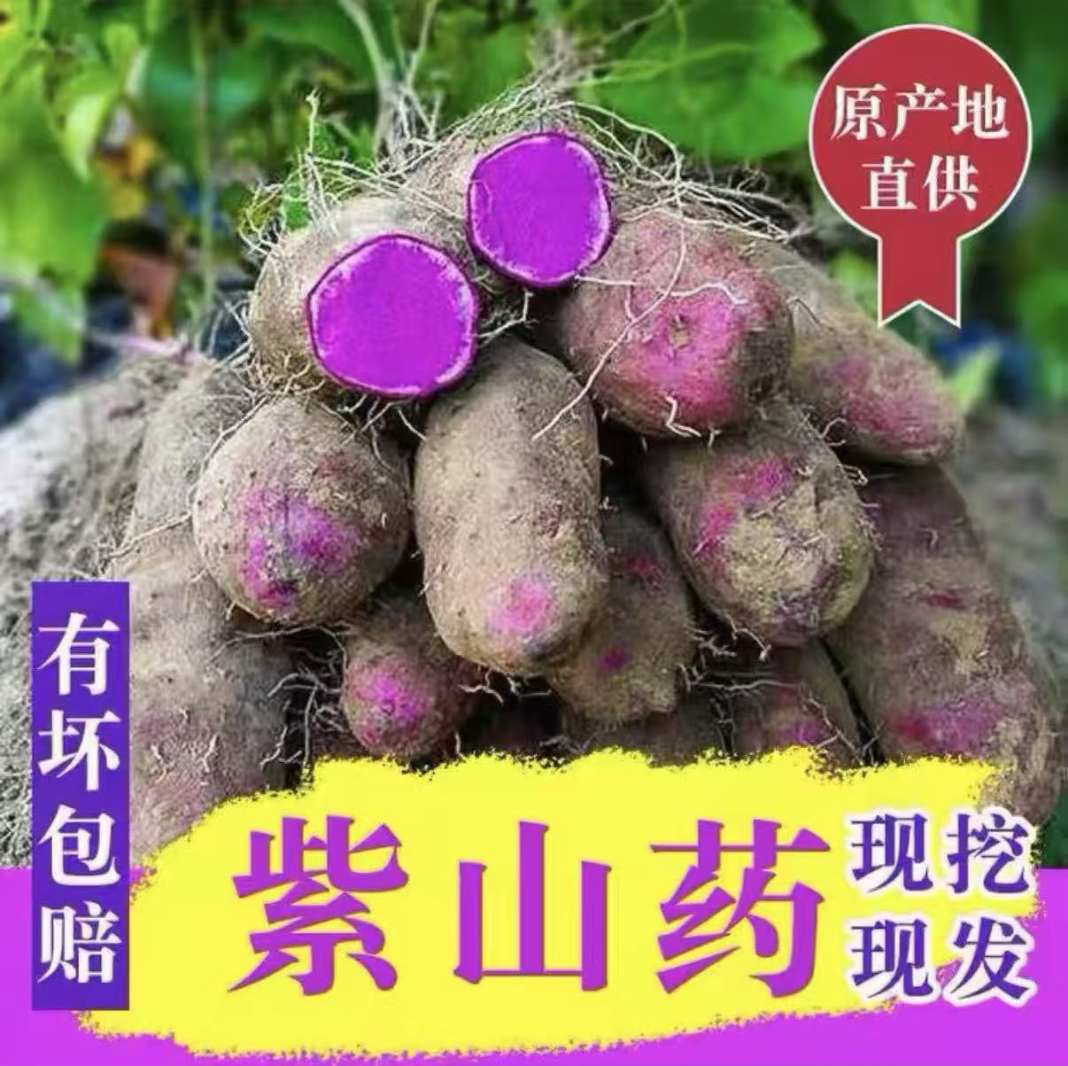 产地直销特产炖汤江西现挖现发赣南紫山药新鲜现挖花青素粉糯香甜