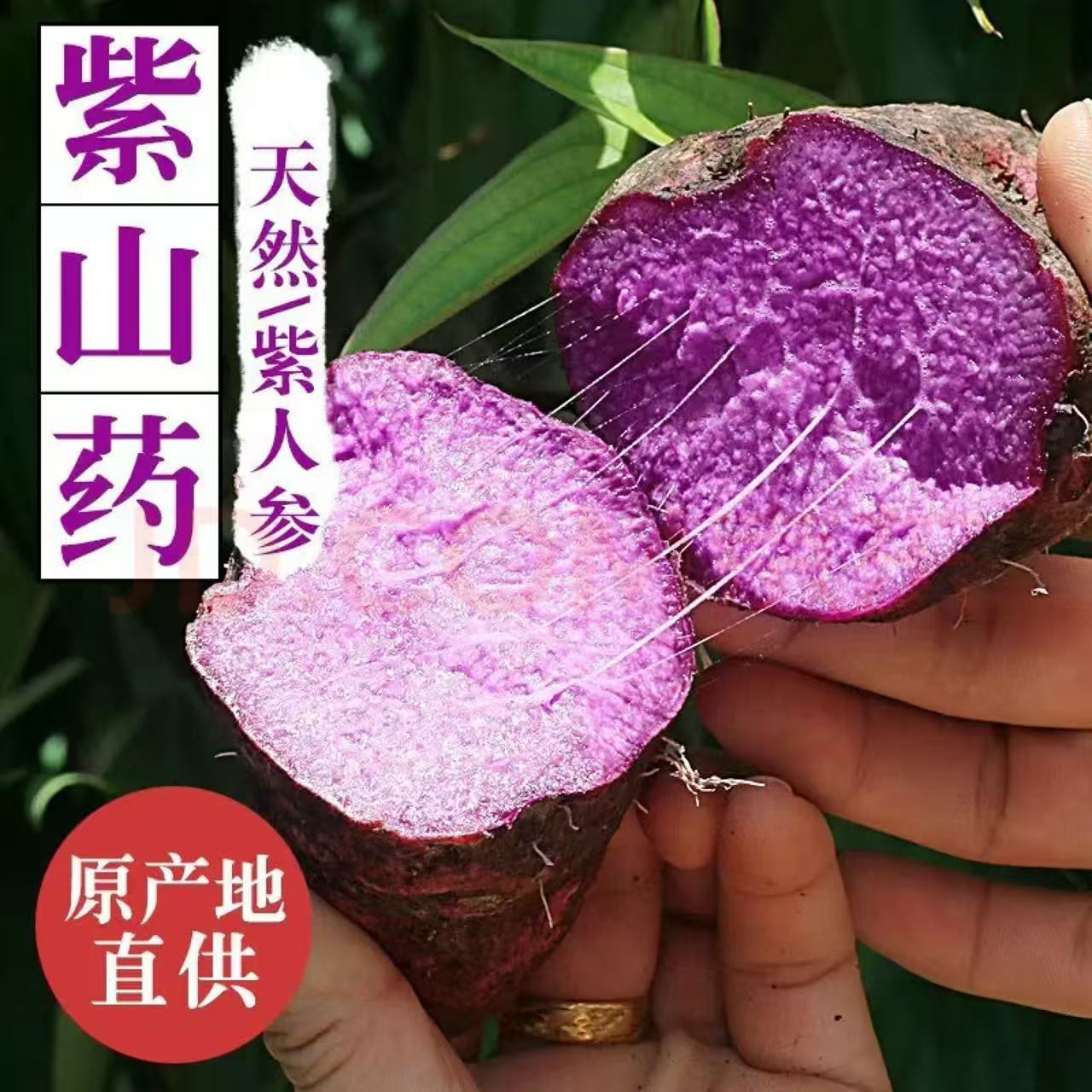 赣南紫山药新鲜现挖紫人参花青素粉糯香甜农家自种产地直销特产