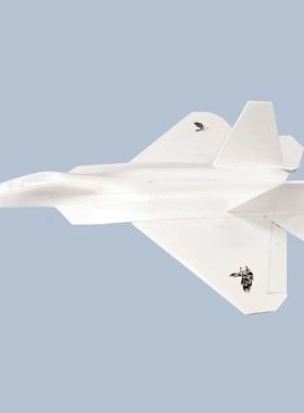 EPO航模遥控飞机成人战斗机超大固定翼F22 V2猛禽64mm涵道三角翼