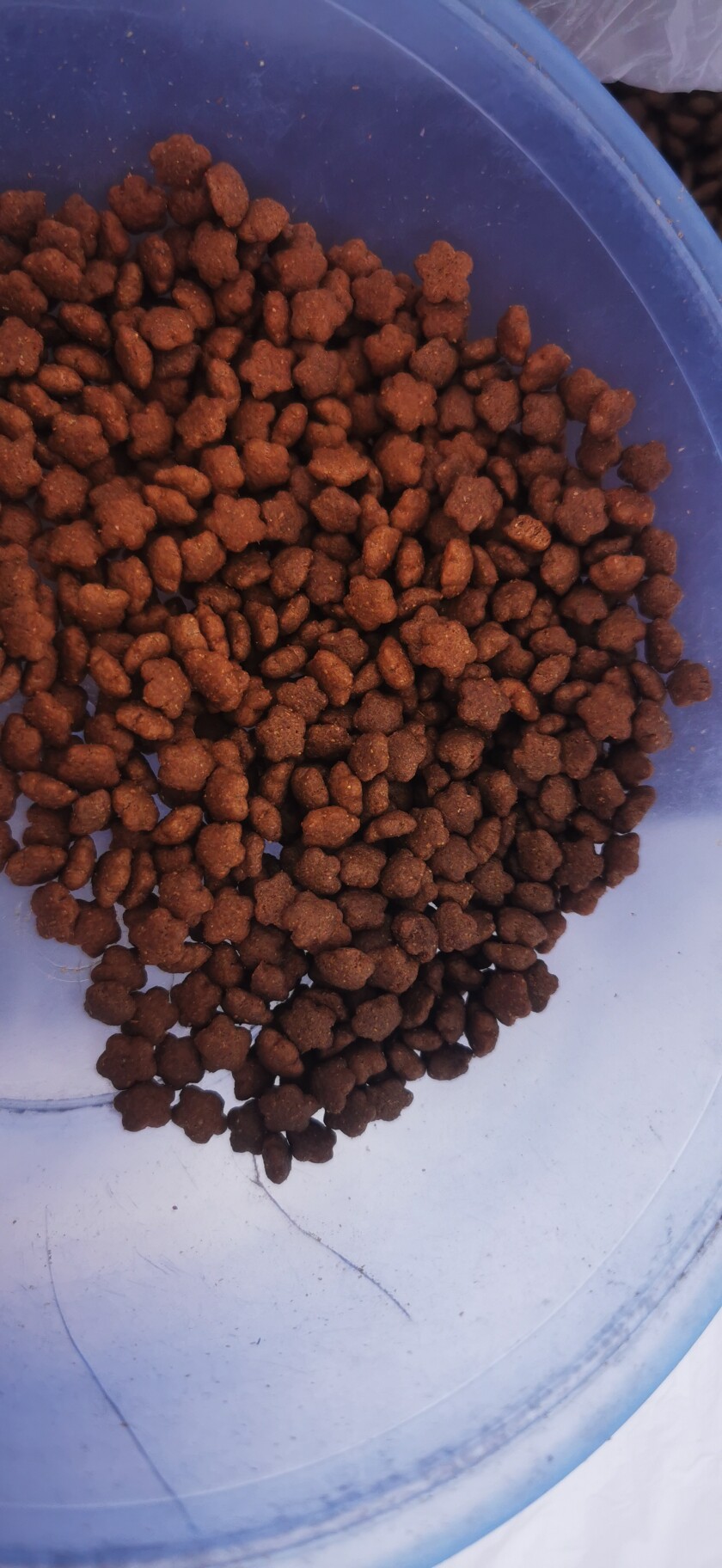 萨摩耶二哈恶霸犬通用型狗粮包邮