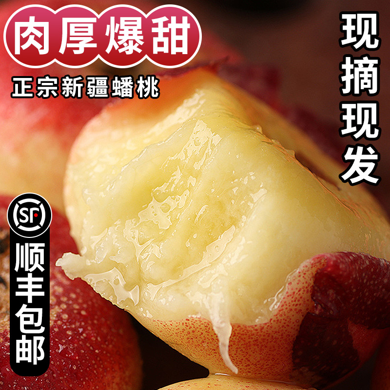 新疆石河子143团蟠桃正宗新鲜当季水果5斤特级桃和静蟠桃整箱顺丰