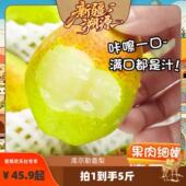 水果新鲜现摘甜梨子整箱装 新疆库尔勒香梨当季 新疆溯源专场