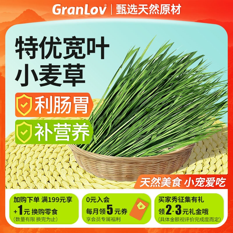 新烘干宽叶小麦干草无穗嫩绿鲜香