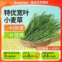 新烘干寬葉小麥干草無穗嫩綠鮮香