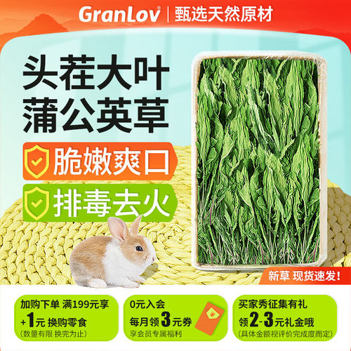 新蒲公英干草美毛保健草