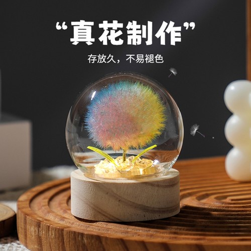 蒲公英永生干花束小夜灯生日礼物