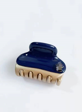 定制款带标专柜品质旺多姆金中号后脑勺抓夹亚历山大同款高档发饰