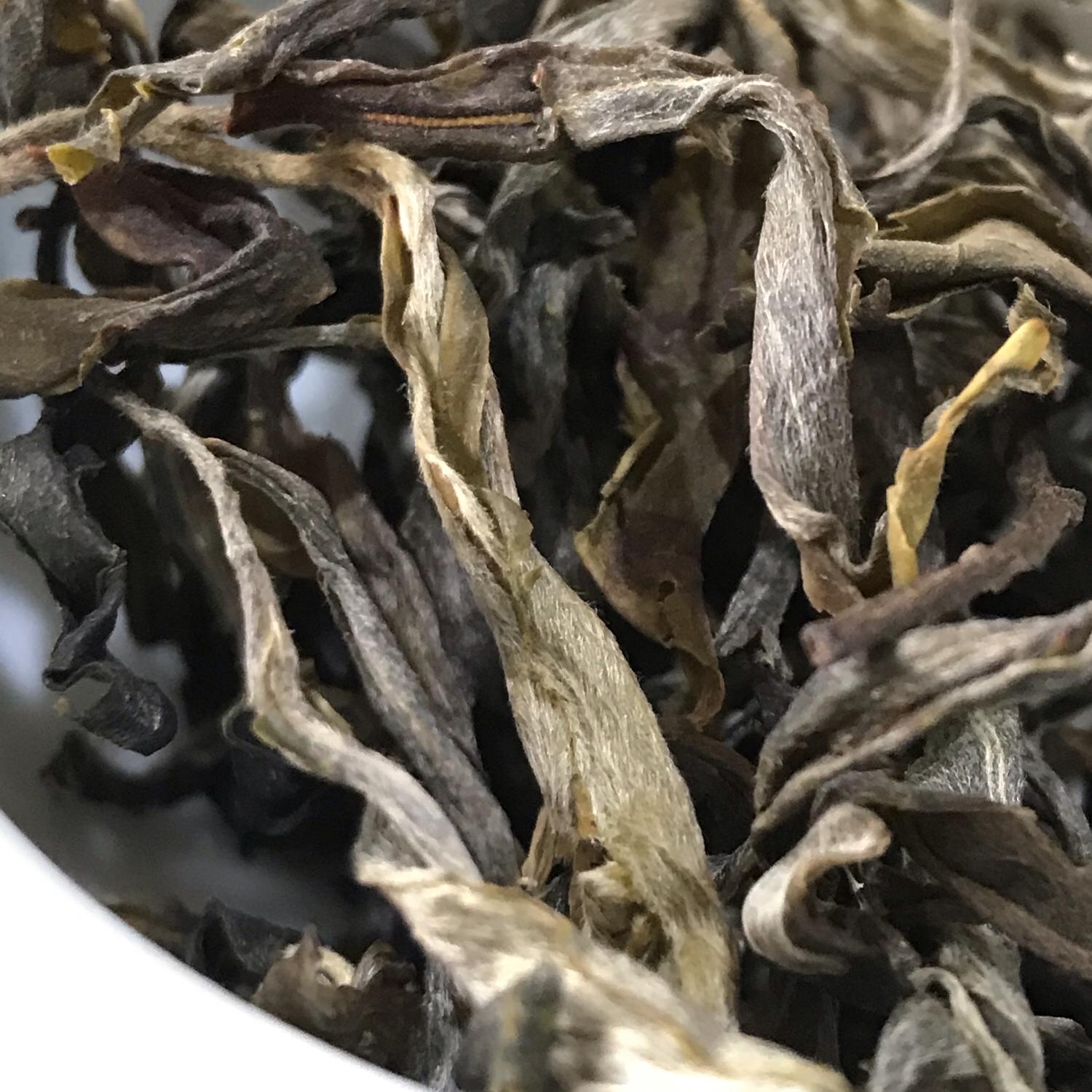 佤山茶人2024年墨江凤凰窝古树茶茶魏家50克散茶云南普洱春茶生茶