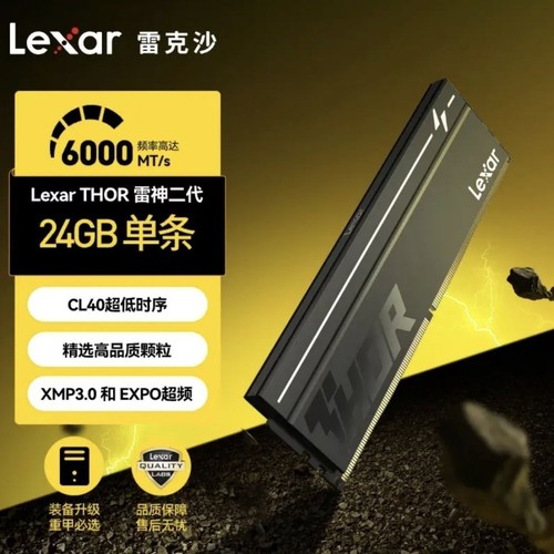 雷克沙DDR5600024GB内存条