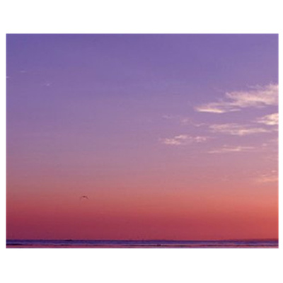 博冠睿丽高倍双筒2代观鸟镜