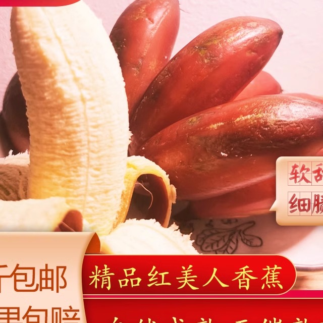 红美人香蕉新鲜水果一箱
