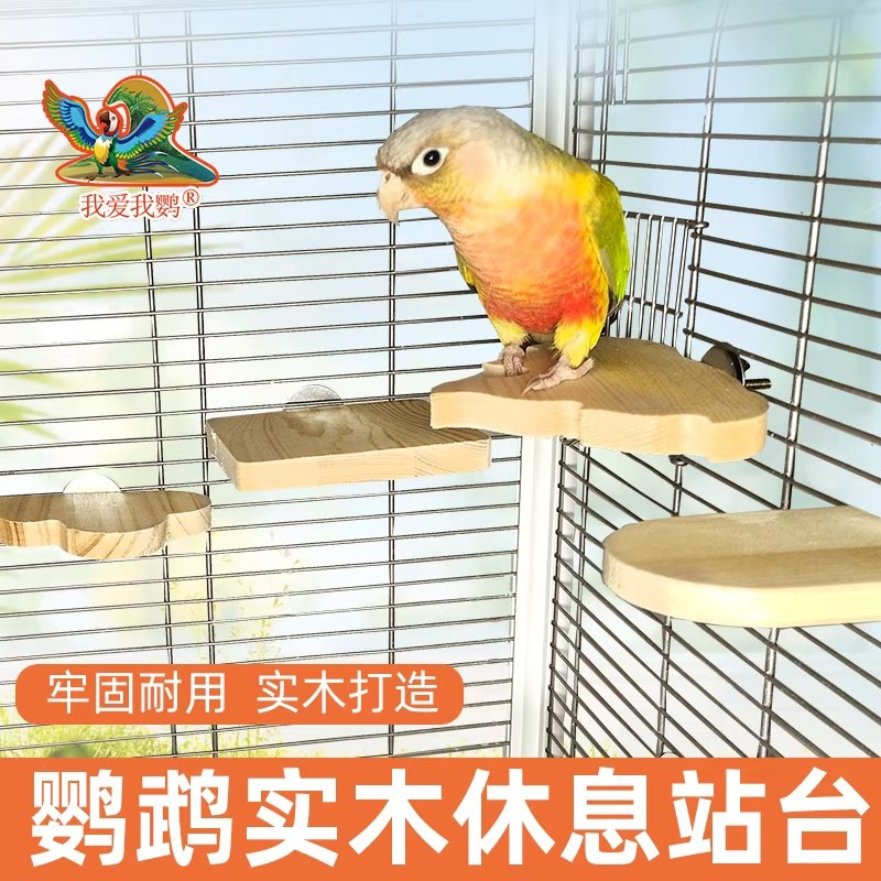鹦鹉实木站台鹦鹉玩具平台玩耍鸟笼配件小鸟用品跳台固定跳板玄凤,宠物/宠物食品及用品,鸟秋千,淘宝优惠券,粉丝福利购,淘宝优惠卷