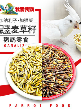 双色麦草籽玄凤虎皮牡丹鹦鹉零食