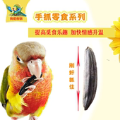 中大型鹦鹉零食手抓瓜子