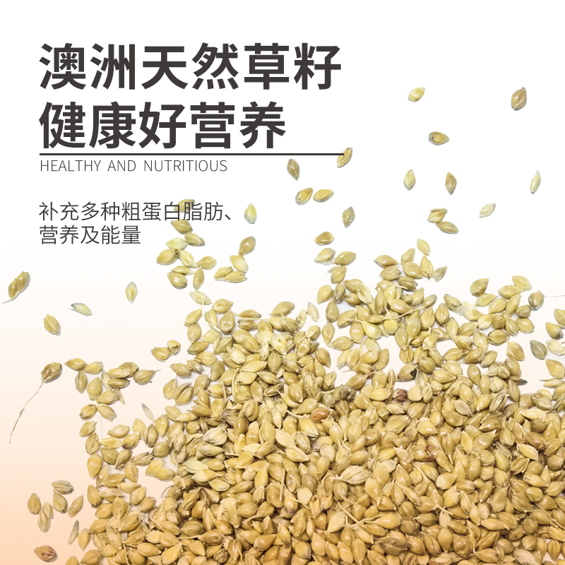 澳大利亚草籽鹦鹉零食带壳谷子鸟粮虎皮牡丹玄凤鹦鹉粮