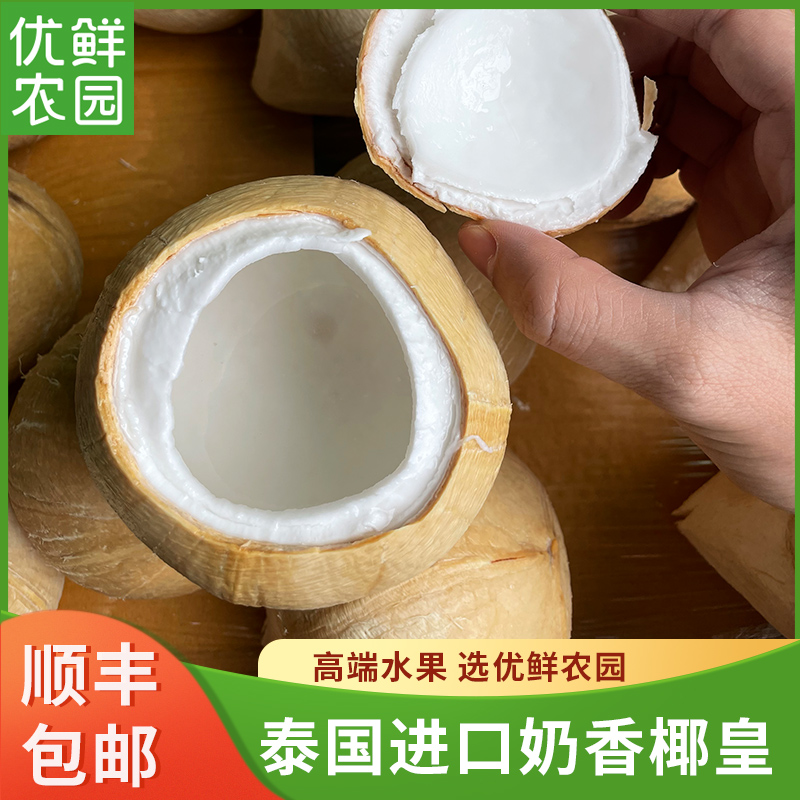 当季泰国进口椰皇小椰子新鲜水果牛奶香椰青水5个装礼盒顺丰包邮