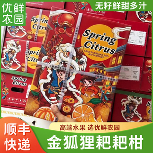 上嘉金狐狸春见耙耙柑原箱大果精选柑橘爆橘新鲜现摘礼盒顺丰包邮