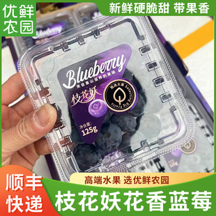 四川大凉山枝花妖花香蓝莓当季新鲜水果18-22+大蓝莓孕妇儿童水果