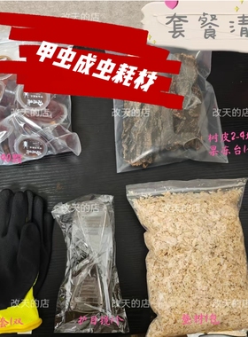 套餐甲虫成虫饲养繁殖套餐