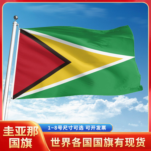 圭亚那国旗12345678号户外旗手摇旗串旗办公桌旗室内会议签约旗外国旗万国旗小旗帜广场装饰吊旗落地旗